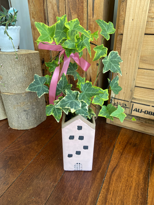 Ivy House Planter