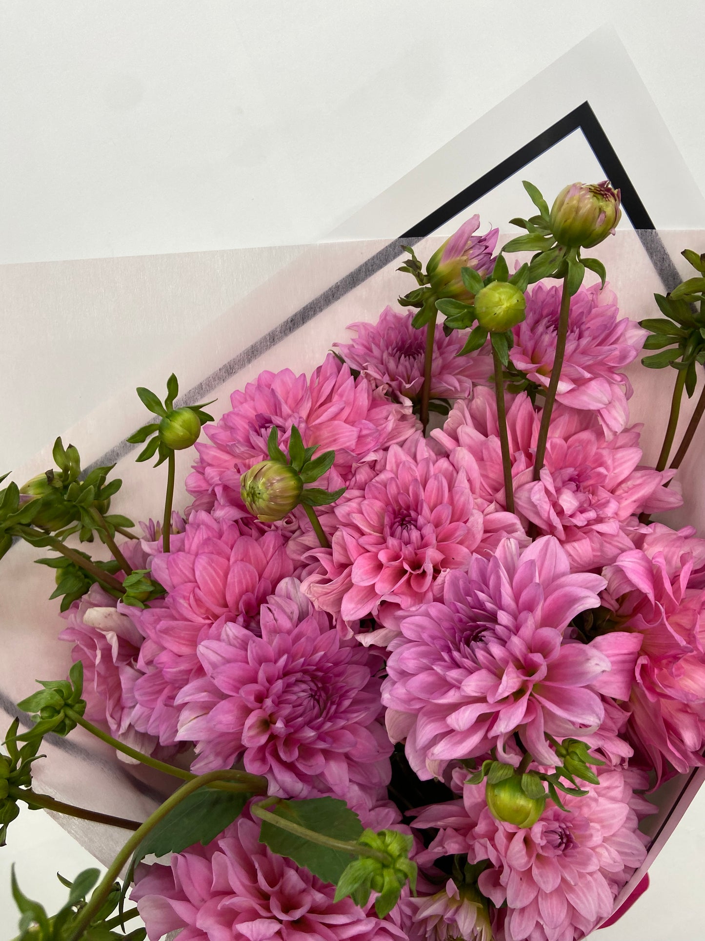 Dahlia Bunches