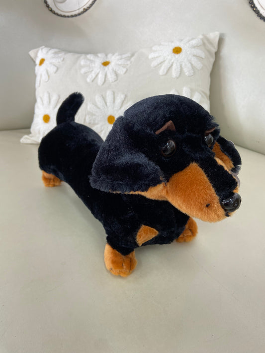 Duddley the Dachshund