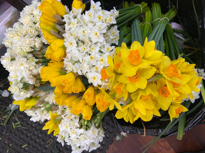 Daffodil Day Bunches