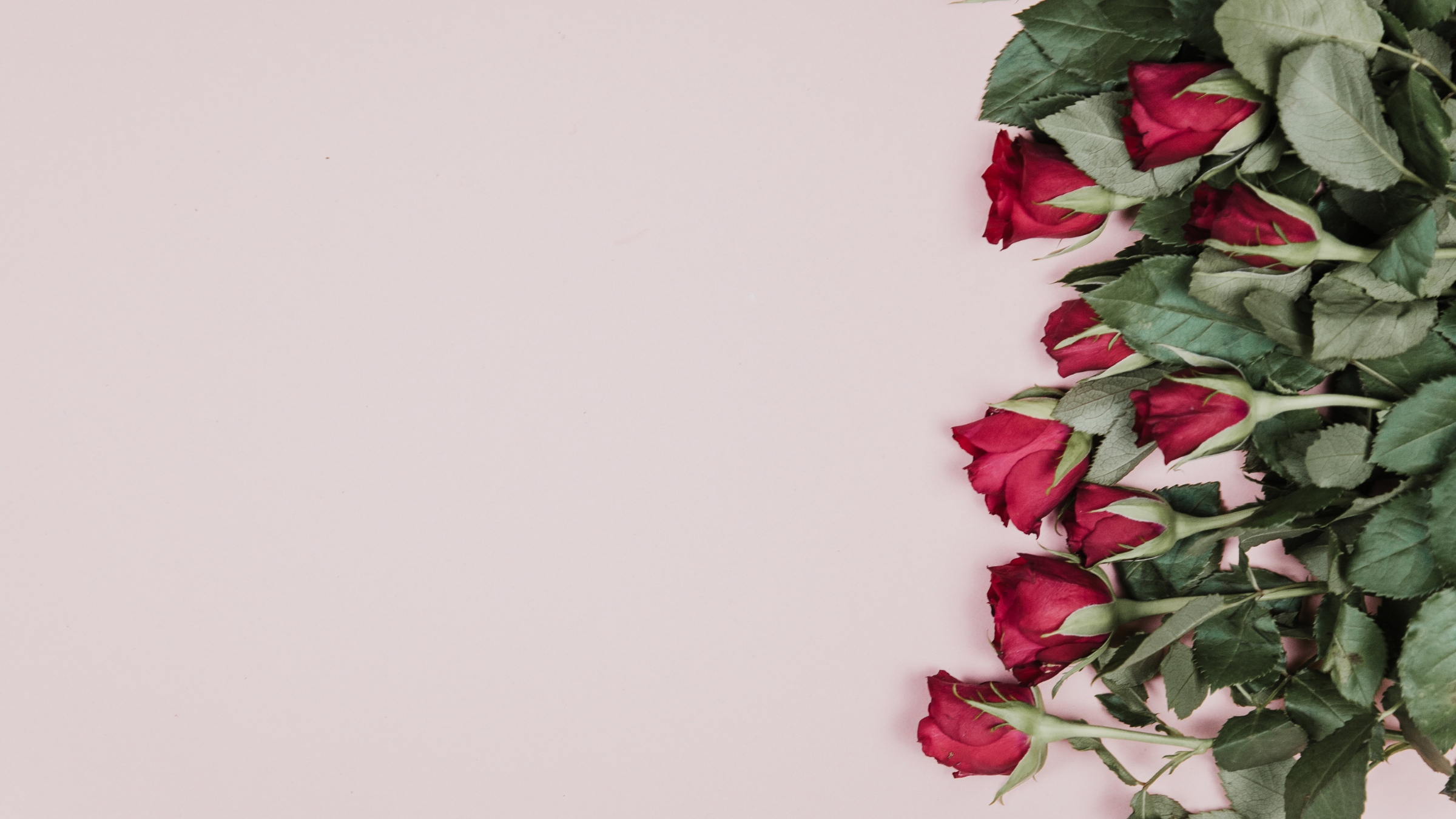 Our Flower Studio Valentines Day Rose Banner