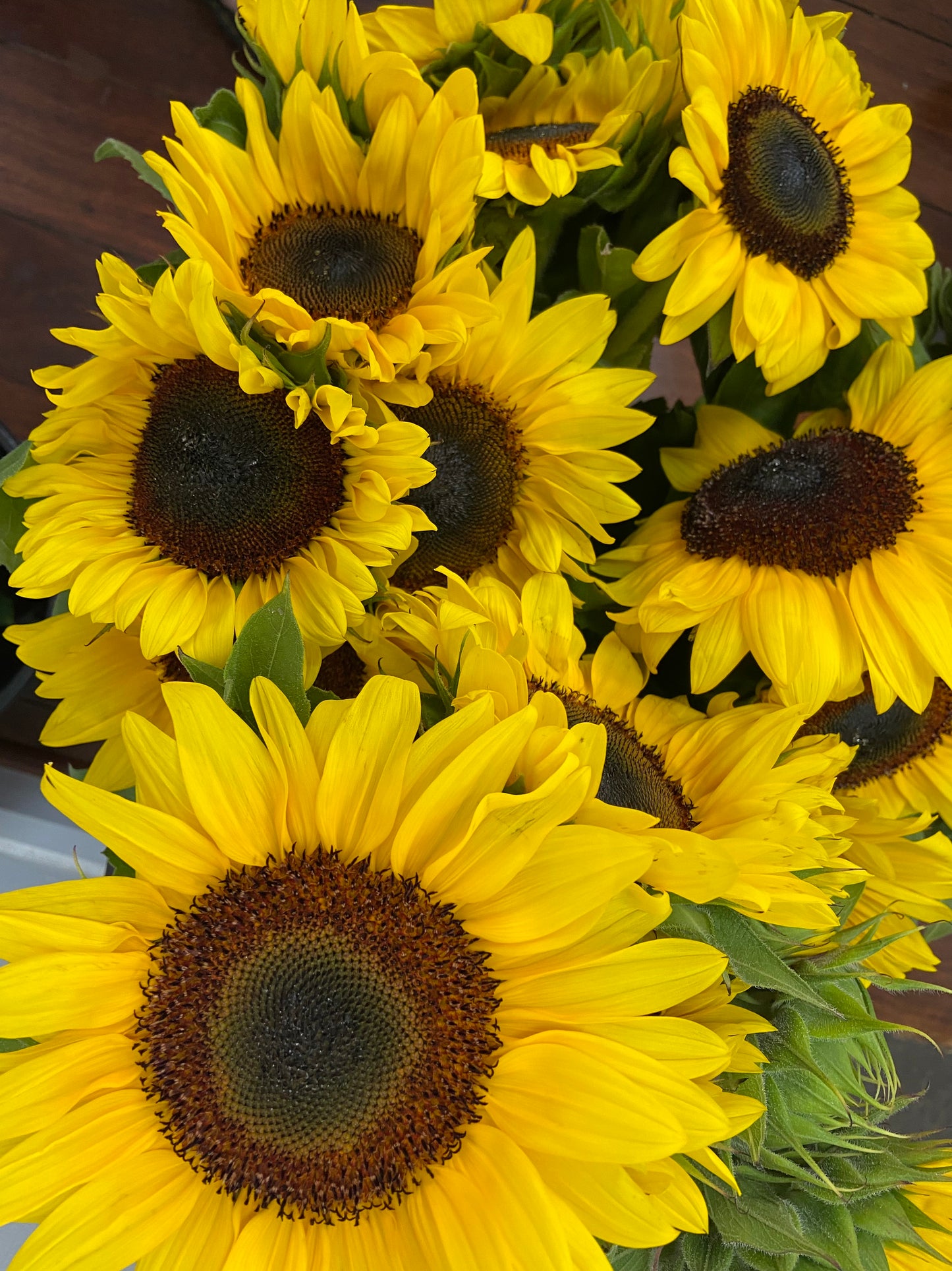 Sunflower Bunches | Our Flower Studio | Perth Hills Florist